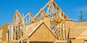 construction avec le bois vert