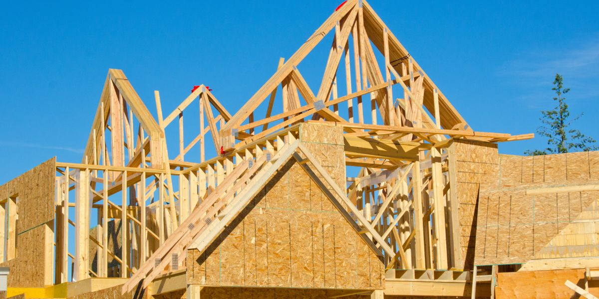 construction avec le bois vert