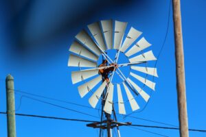 eolienne-maison-terrain