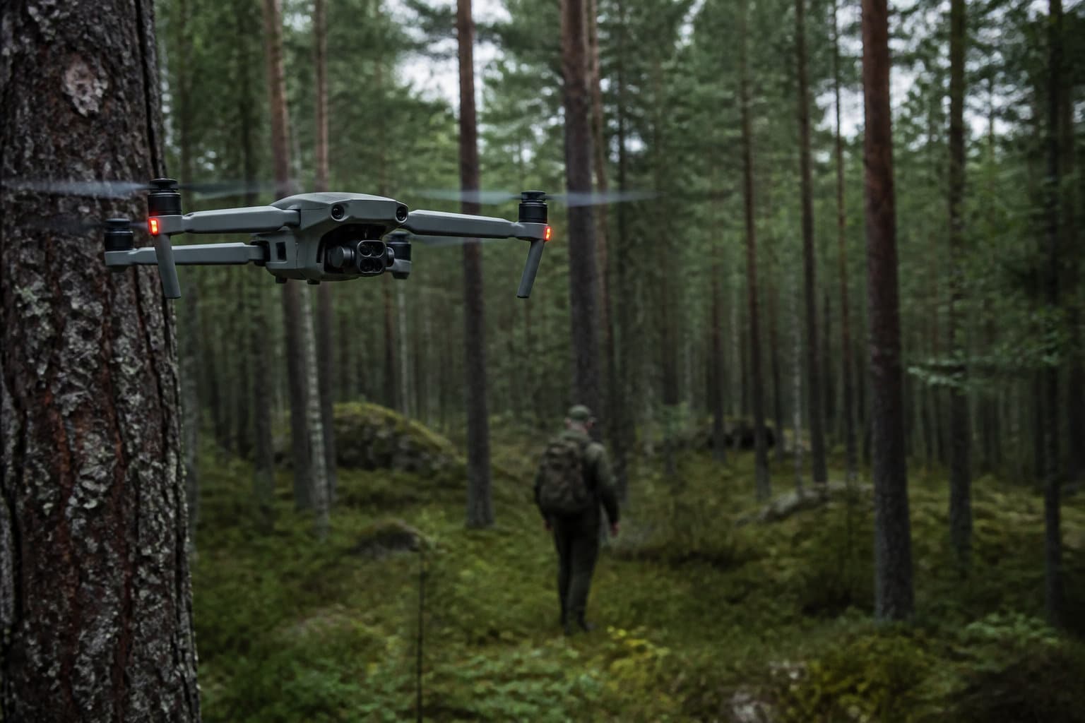 Maîtriser les risques et les critères de sélection d'une forêt